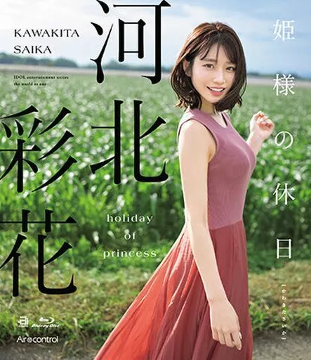 新金瓶梅电视剧全集免费播放